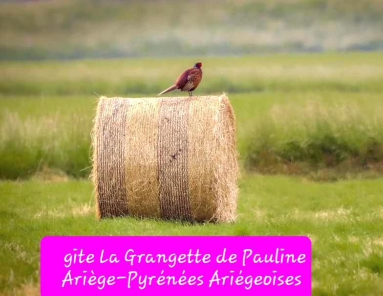 Gite La Grangette De Pauline Mercus-Garrabet Exterior foto